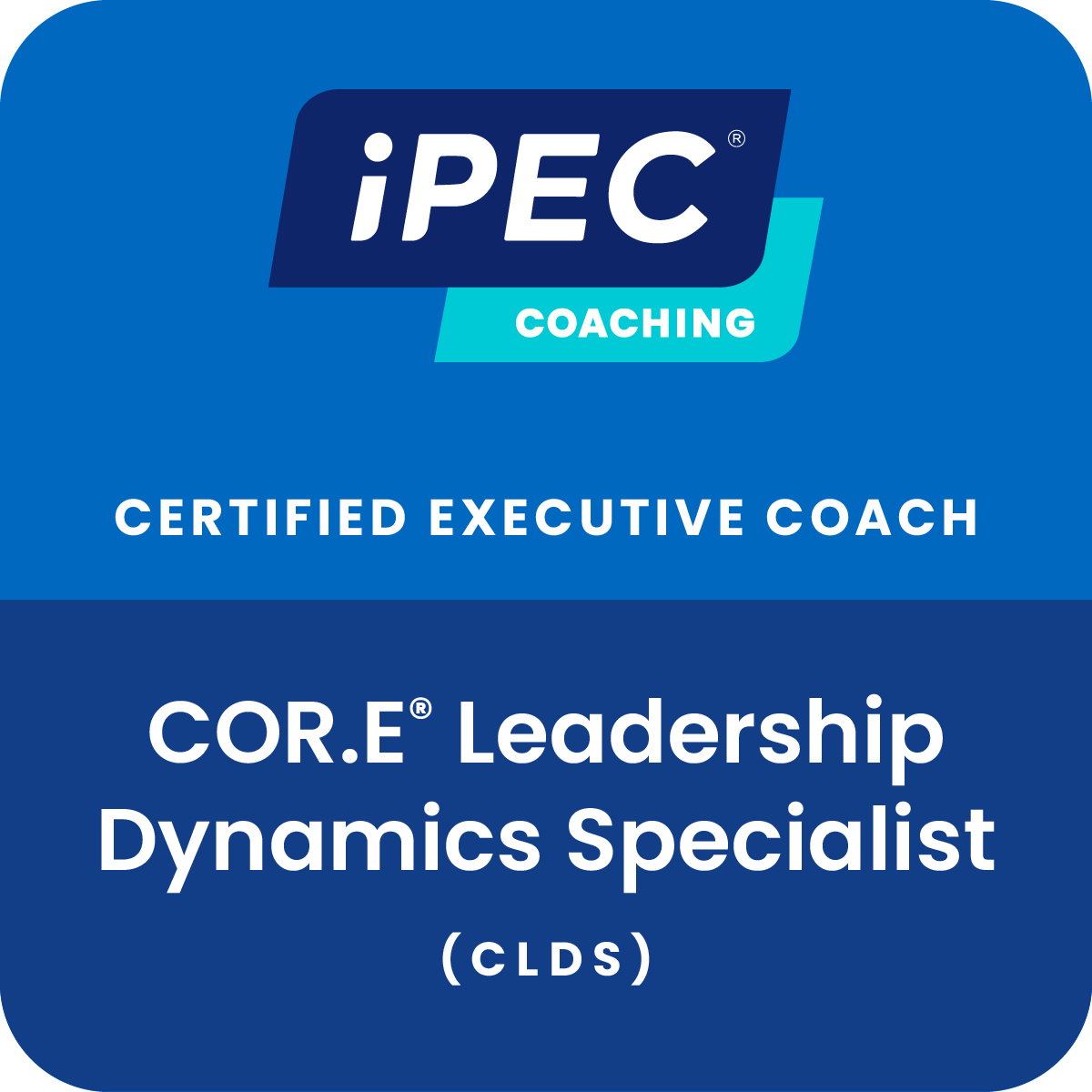 COR.E Leadership Dynamics Specialist